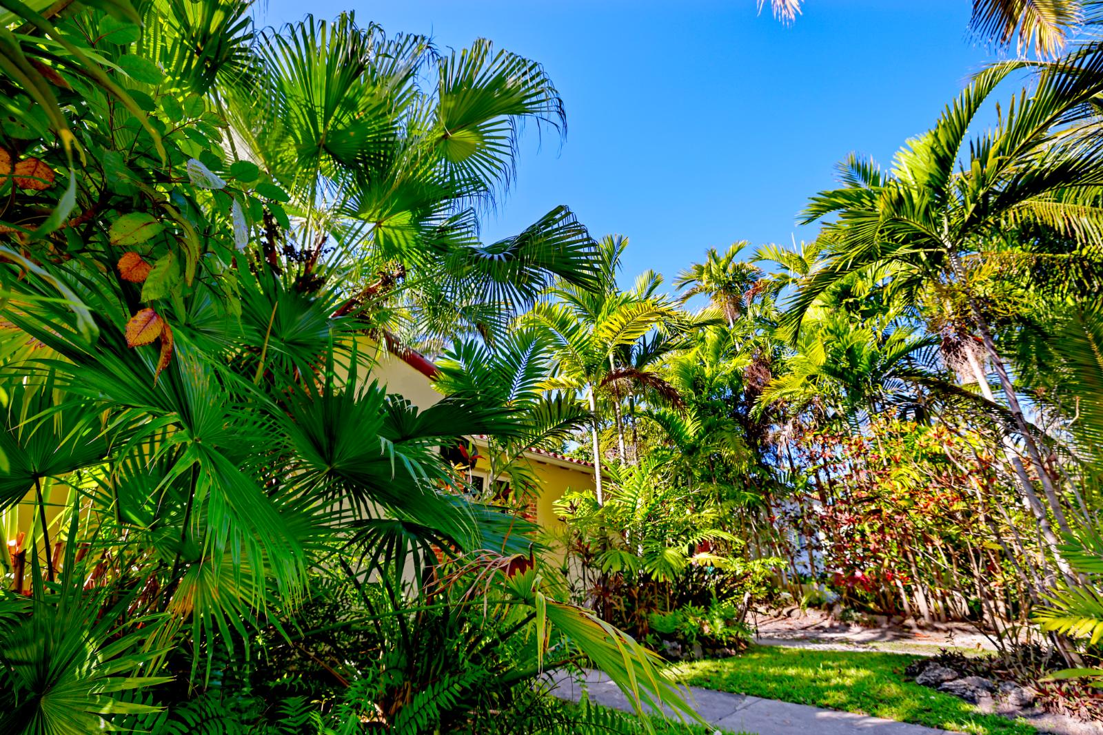 Alternate rear garden view showing the house and private tropical setting