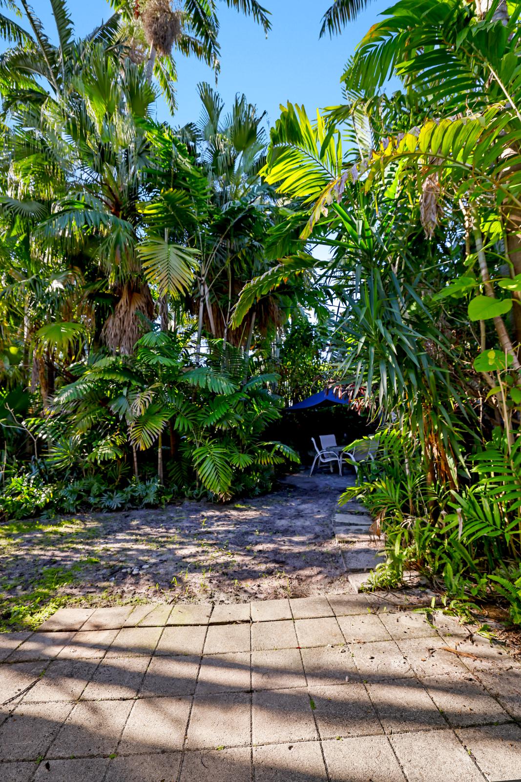 Vertical garden path view through the tropical backyard