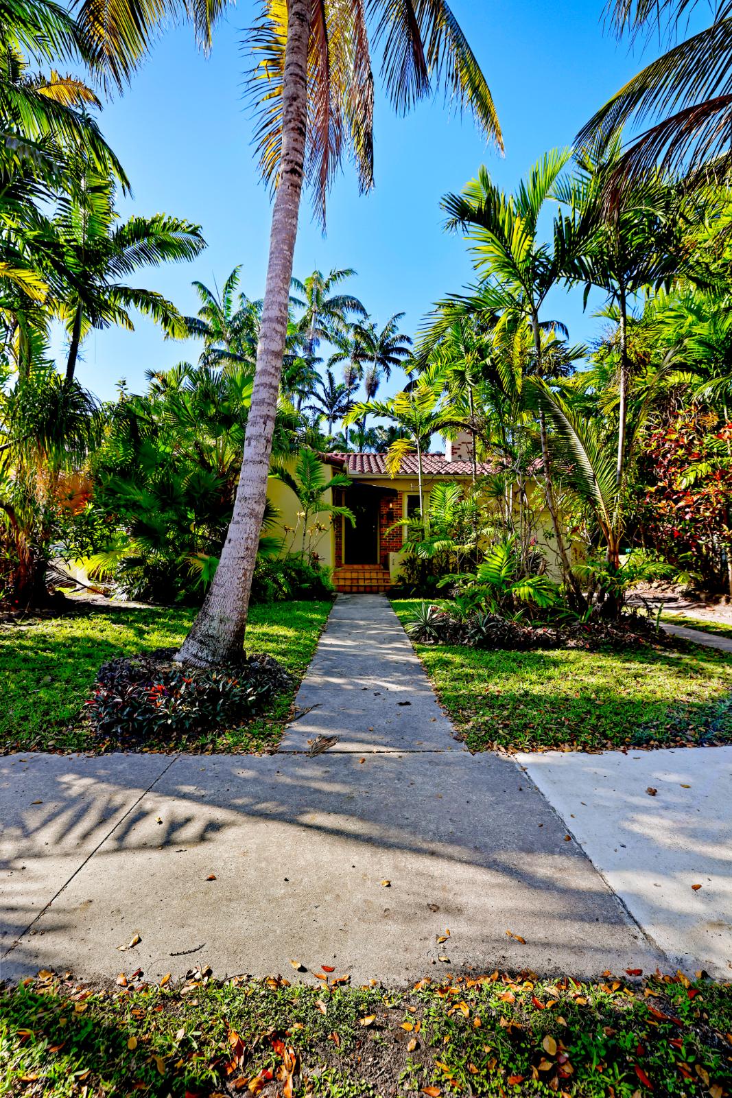 Alternate palm-lined walkway through the tropical garden